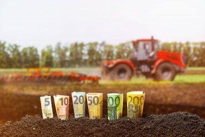 Între două extreme. Ce perspective au importatorii români din sectorul agricol în 2021?